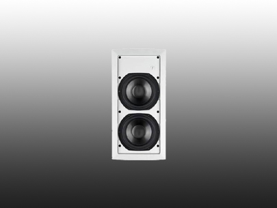 TANNOY iW 62TS