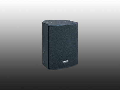 TANNOY  V12