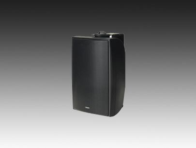 TANNOY DVS4 / DVS 4t