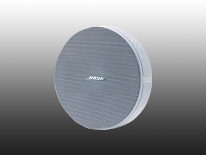 BOSE ʿ 230SM ڹ