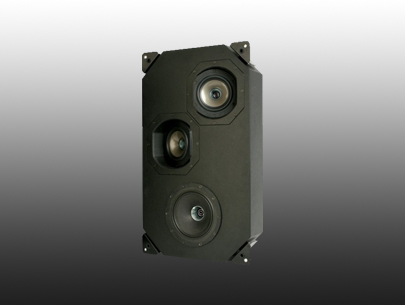 TANNOY  iW 60EFX